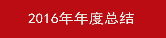 2016年度總結