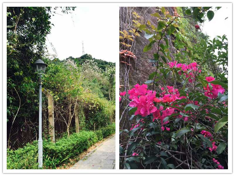 4月環保宣傳活動